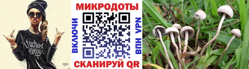 Псилоцибиновые грибы Cubensis  наркошоп  Суворов 