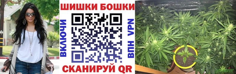 Конопля White Widow  Суворов 